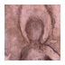 Figure with Wings V