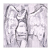 Torso with Wings II