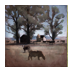 Axtell Refuge
